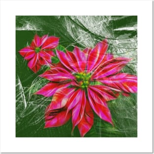 Abstract vibrant red poinsettia on green texture Posters and Art